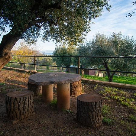 Villetta Fenosa Marina di Camerota Eksteriør bilde